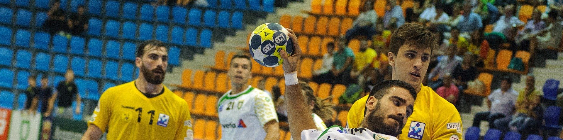 photo Programme accession – Pôle Espoir Handball Masculin BFC